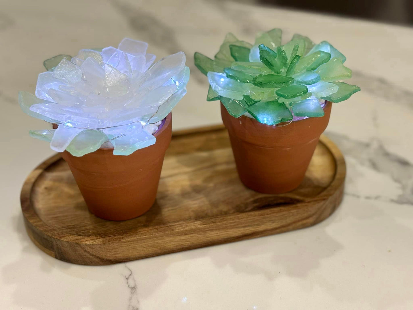 Pair of Sea Glass Succulents with Tray